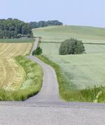 Kateřinice-cyklostezka Kravařsko