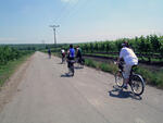 Hodslavice