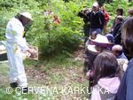 Včelař Josef Vlach při Medobraní u Perníkové chaloupky 2009