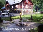 Medobraní s dětským dnem 2009 - v dešti