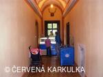 Medobraní s dětským dnem 2009 - v suchu