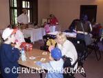 Medobraní s dětským dnem 2009 - v suchu
